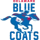 特拉华蓝衫 队徽
