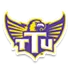 田纳西理工大学 队徽