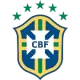 巴西U17 队徽